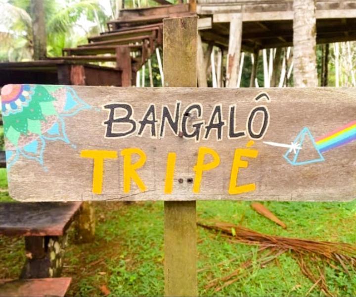 Отель Art Jungle Итакаре Номер фото