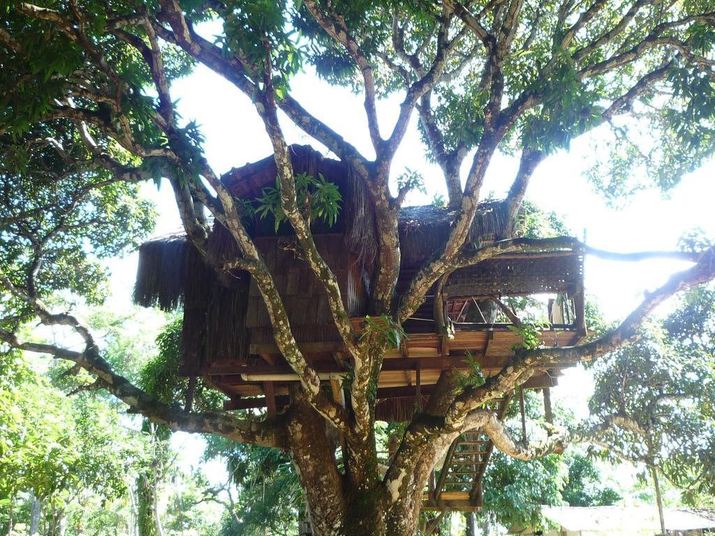 Отель Art Jungle Итакаре Экстерьер фото