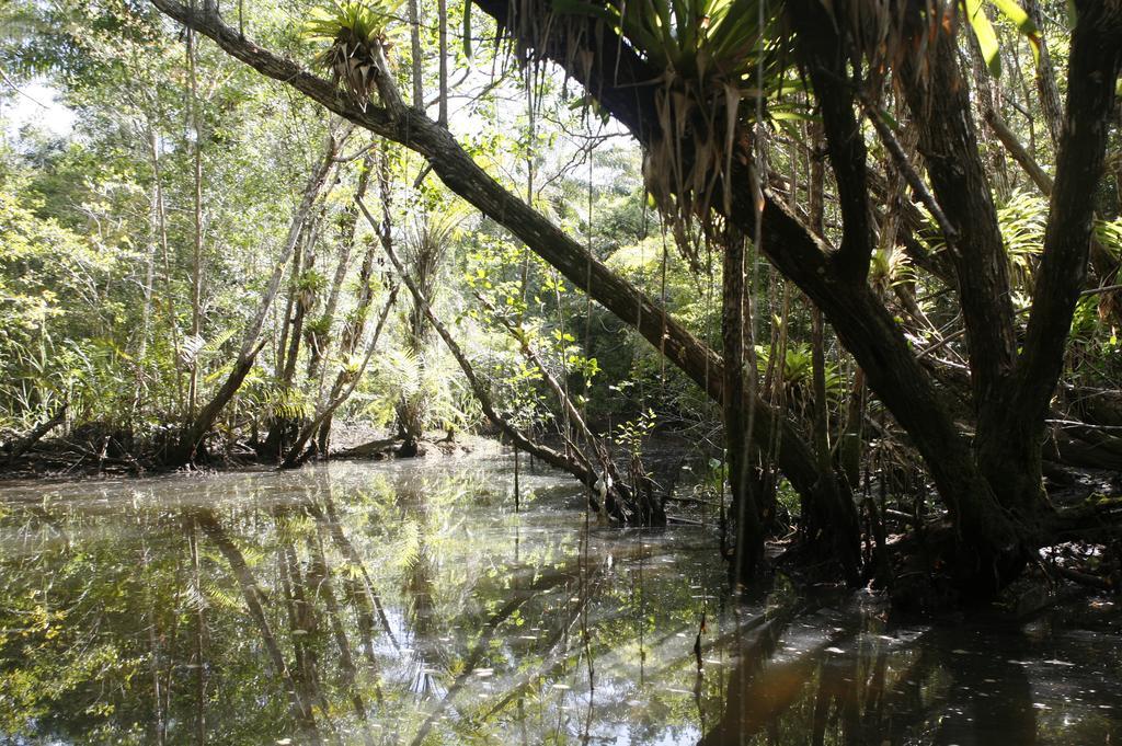 Отель Art Jungle Итакаре Экстерьер фото