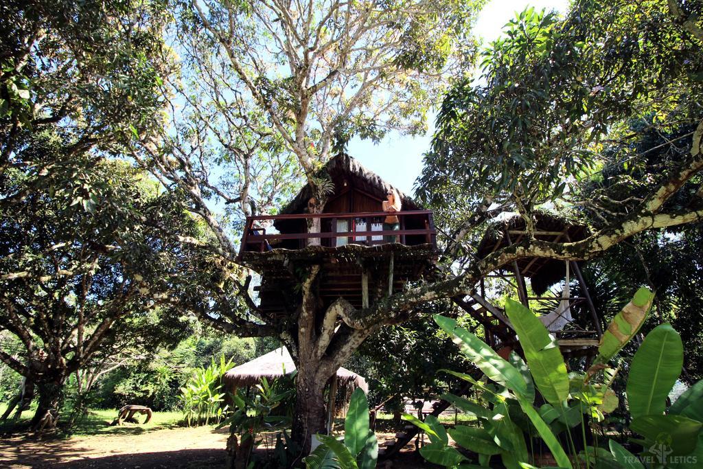 Отель Art Jungle Итакаре Экстерьер фото