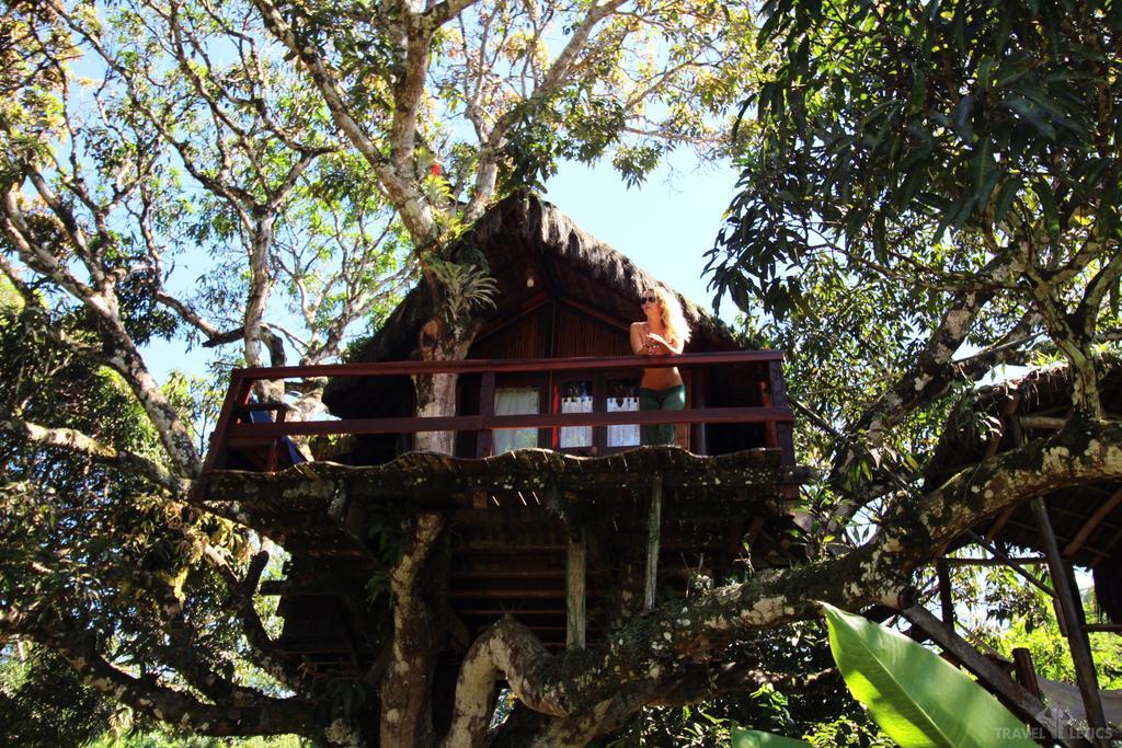 Отель Art Jungle Итакаре Экстерьер фото