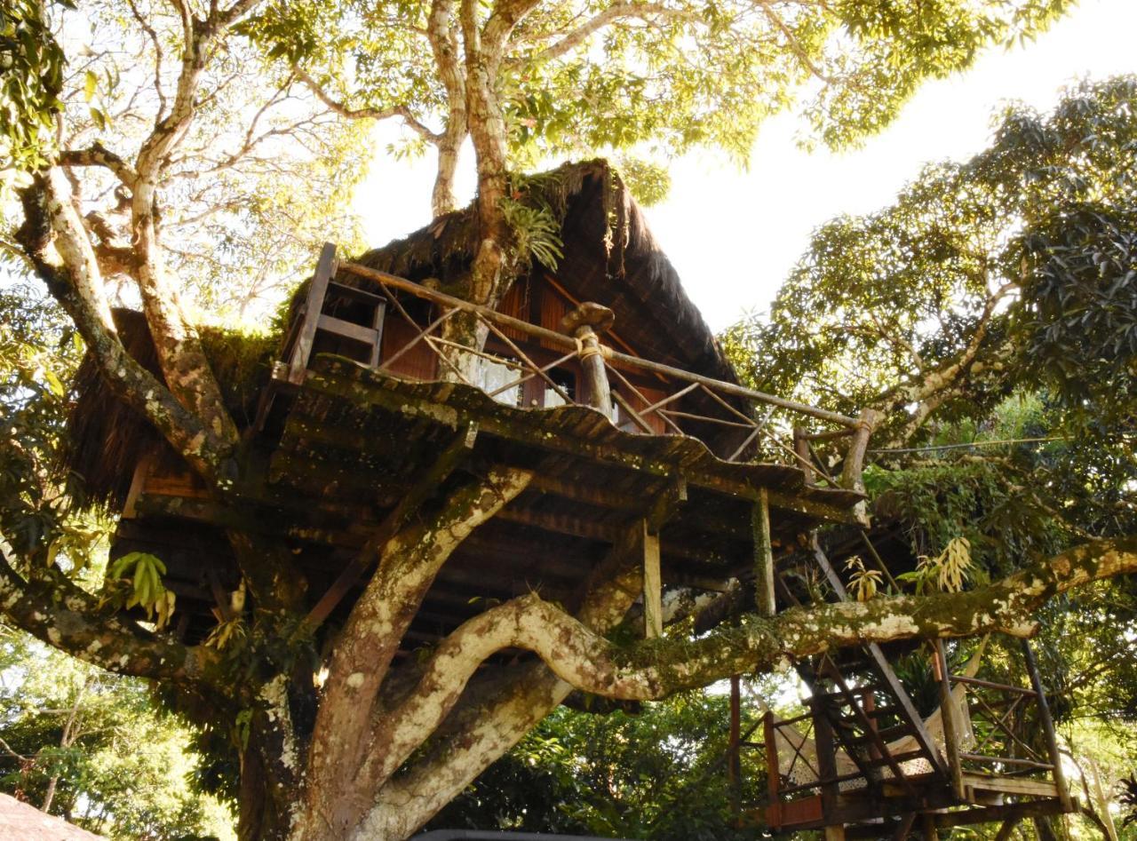 Отель Art Jungle Итакаре Экстерьер фото